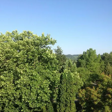 Studio Birkental Διαμέρισμα Veitshöchheim
