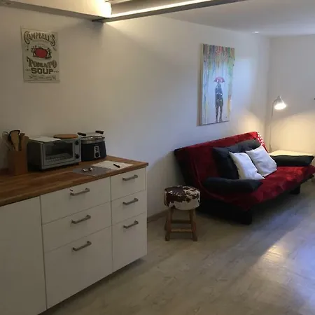 Studio Birkental شقة